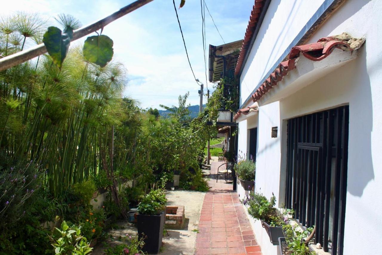 Casa De Vivaio